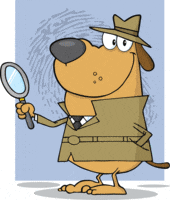 Dog Detective